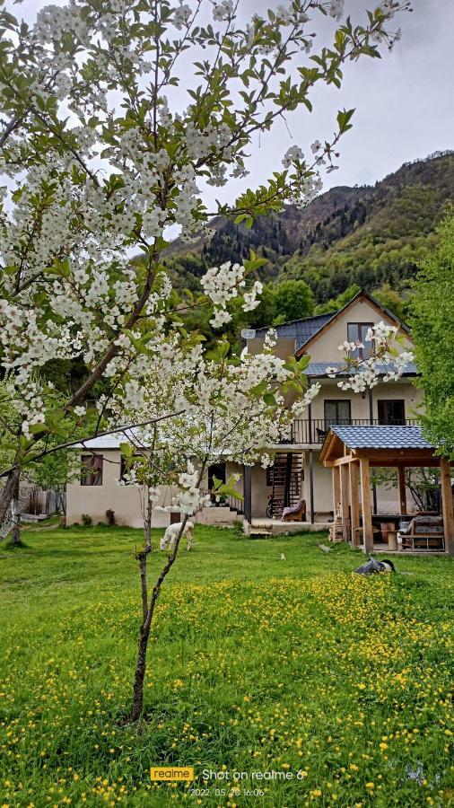 House B&B เมสเตีย ภายนอก รูปภาพ