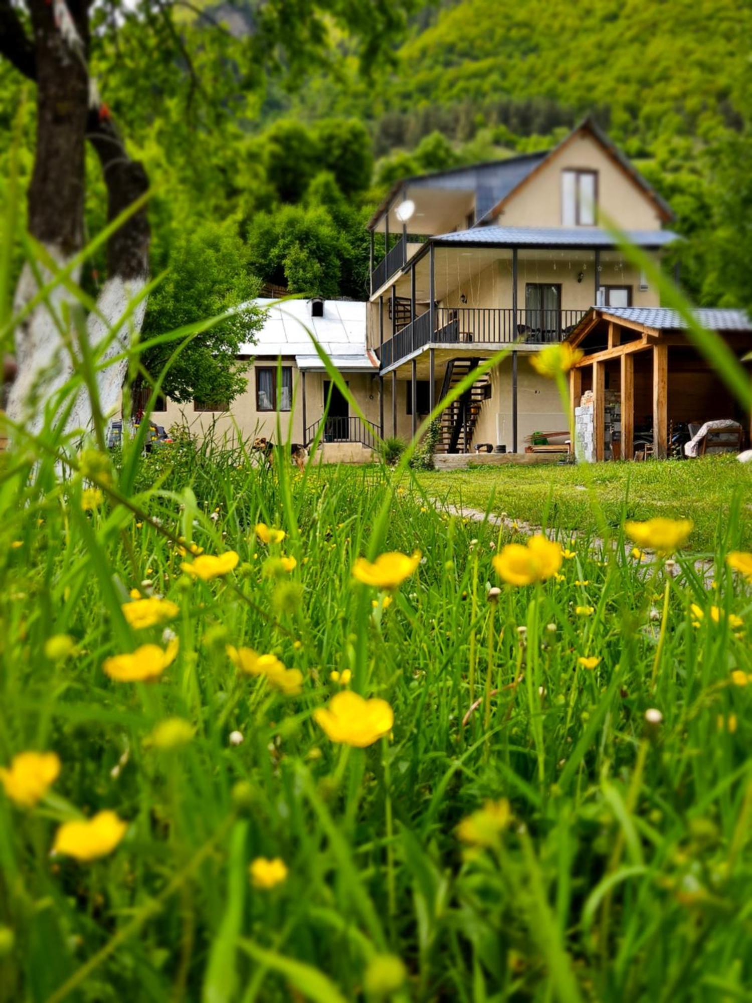 House B&B เมสเตีย ภายนอก รูปภาพ